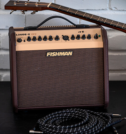 fishman-loudbox-mini-acoustic-500.jpg